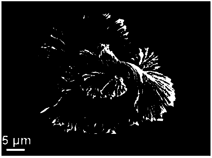 Preparation method of biodegradable supermolecule polylactic acid microspheres