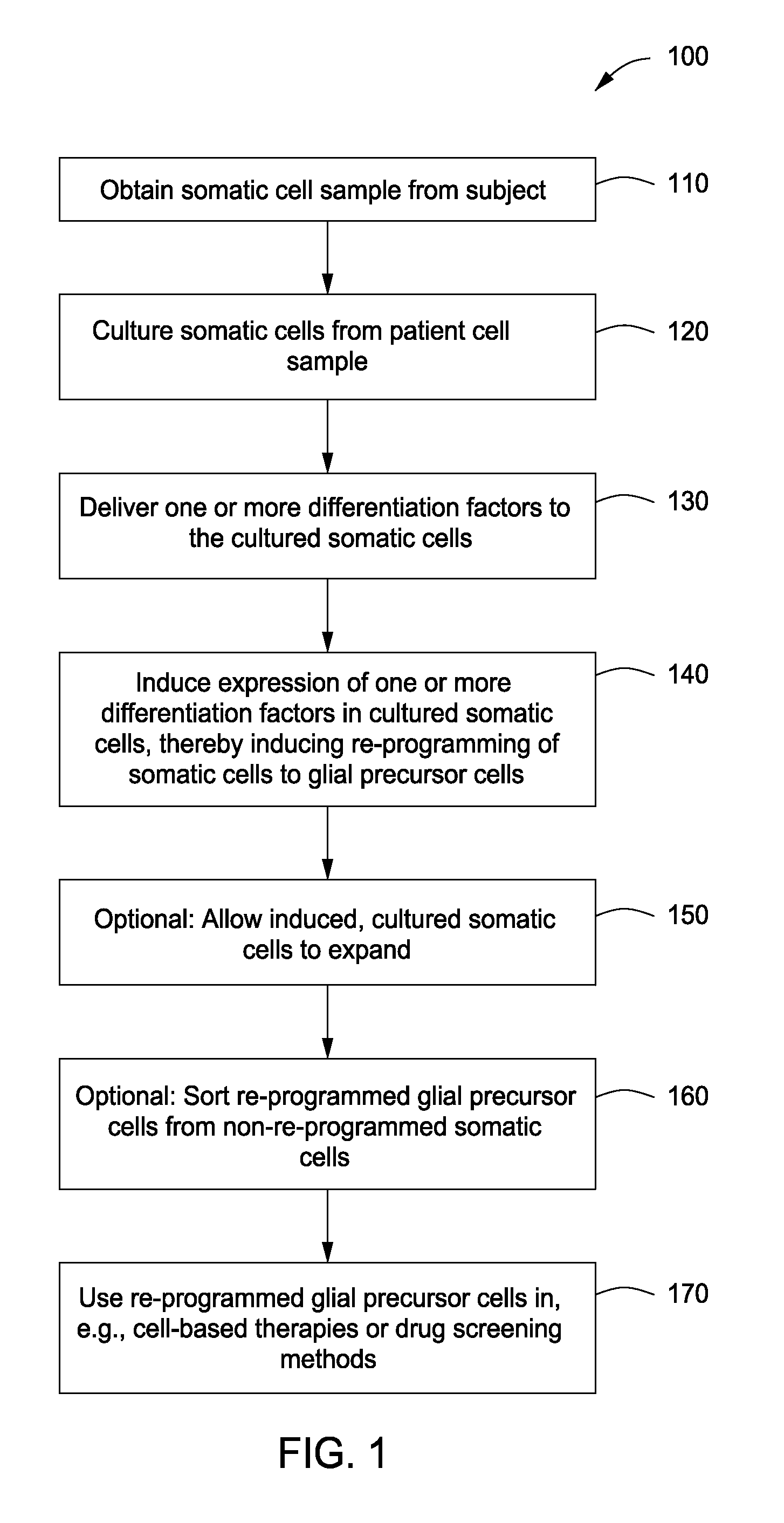 Glial cells and oligodendrocytes produced by reprogramming somatic cells with Sox10, Olig2 and Nkx6.2