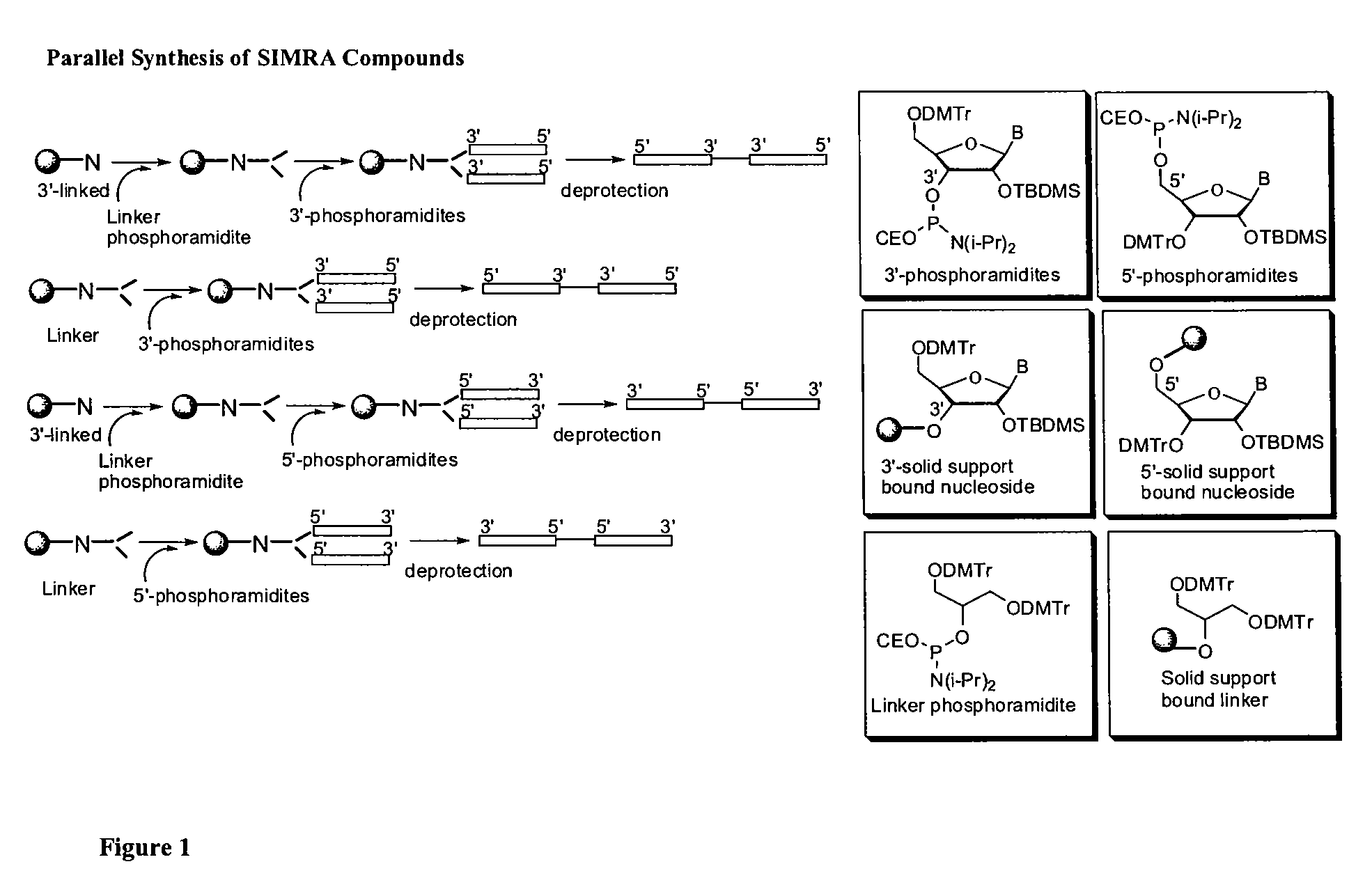 Stabilized immune modulatory RNA (SIMRA) compounds