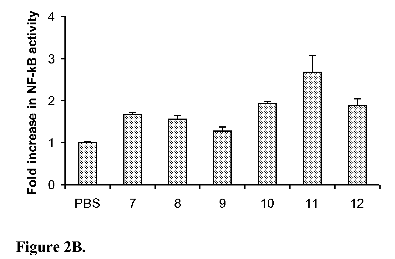 Stabilized immune modulatory RNA (SIMRA) compounds