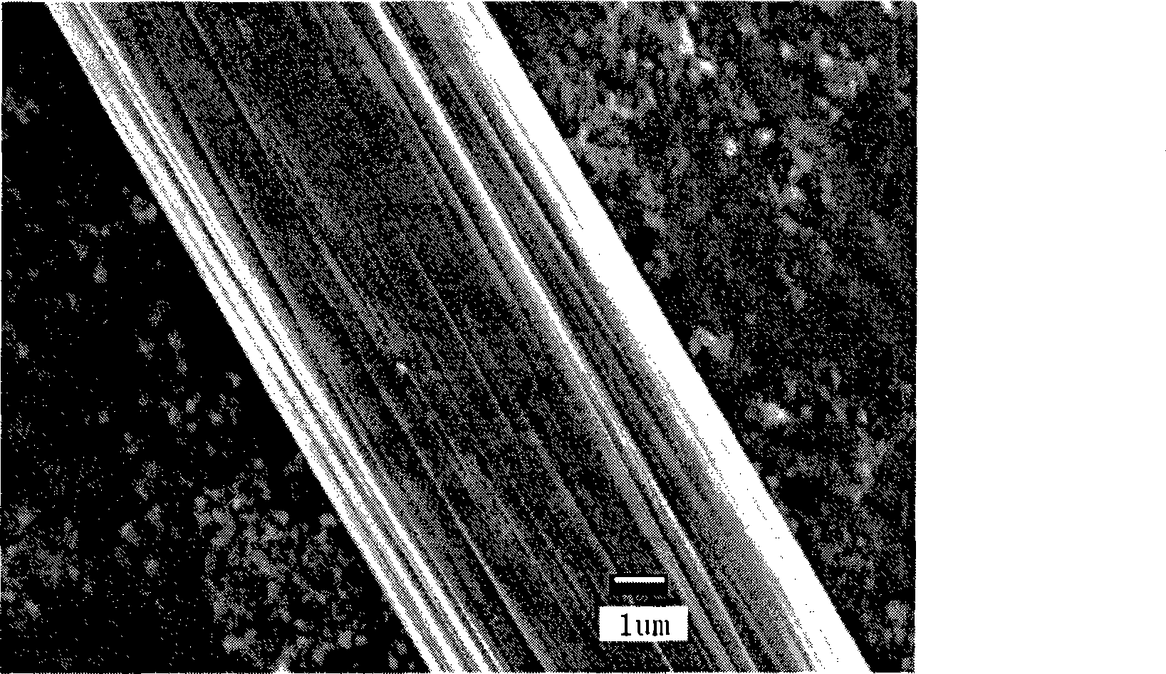 Composite material of stannic oxide and carbon, and preparation method thereof