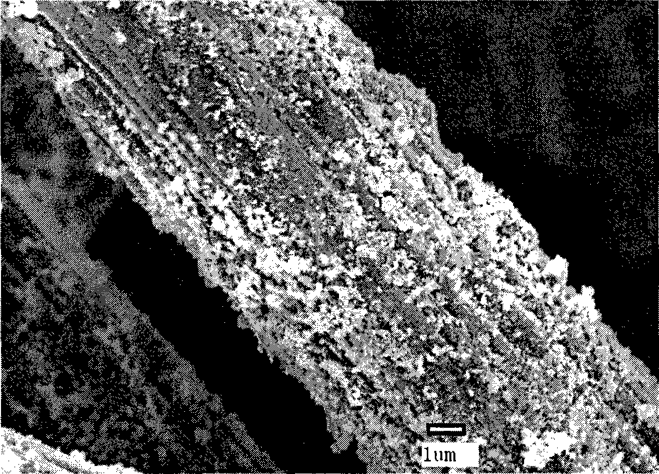 Composite material of stannic oxide and carbon, and preparation method thereof