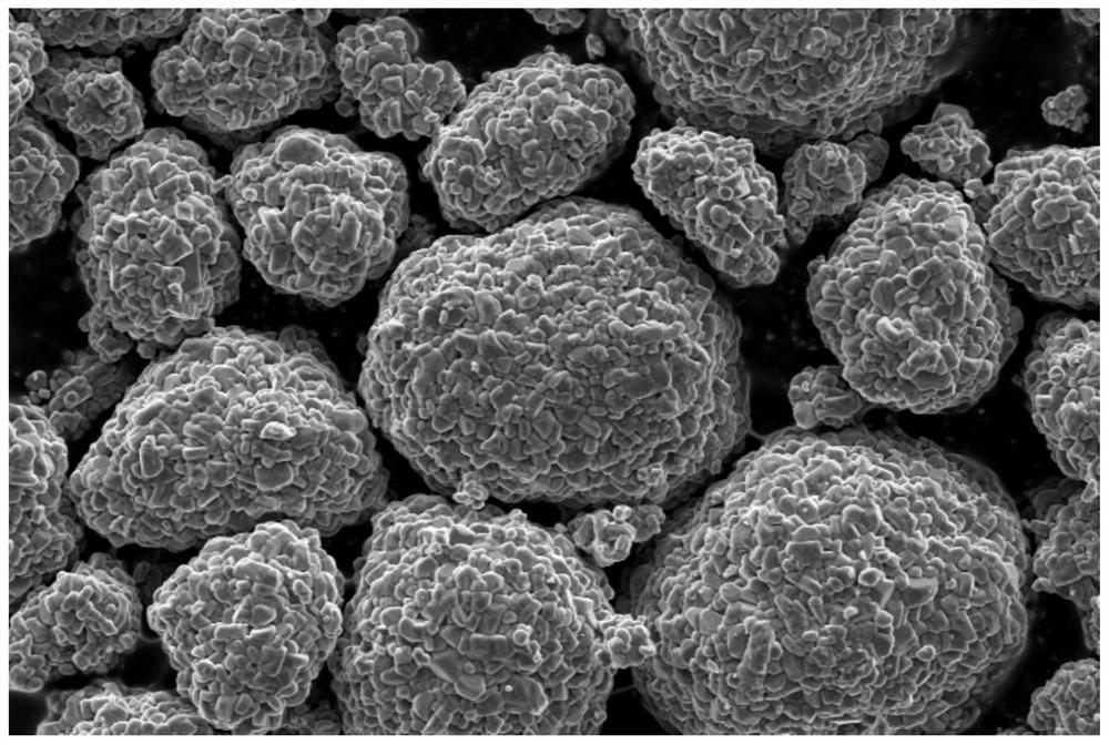 High-capacity and long-cycle nickel-cobalt-manganese ternary positive electrode material and preparation method thereof