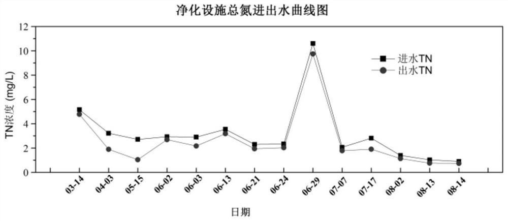 Composite biological filler as well as preparation method and application thereof