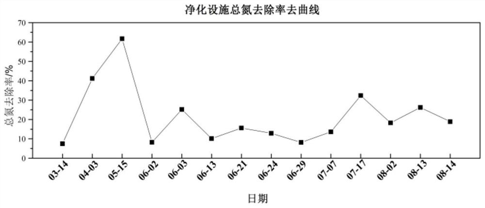 Composite biological filler as well as preparation method and application thereof