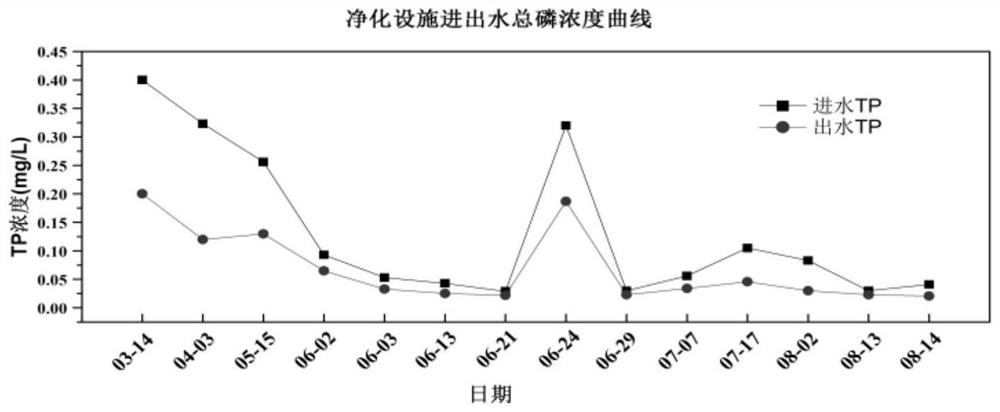 Composite biological filler as well as preparation method and application thereof