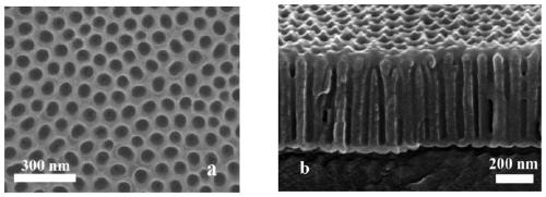 Preparation method of surface-enhanced Raman substrate and application of the substrate to detection of animal viruses