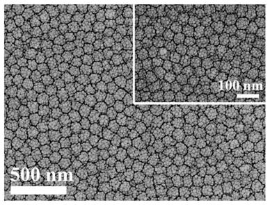 Preparation method of surface-enhanced Raman substrate and application of the substrate to detection of animal viruses