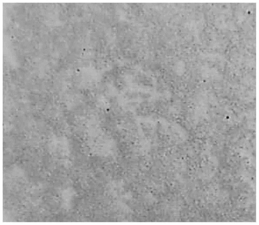 Adhesive for casting and preparation method of adhesive