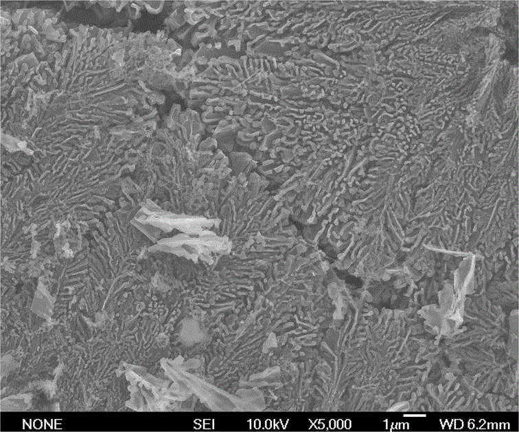 Nanoporous silicon/carbon composite material and preparation method thereof