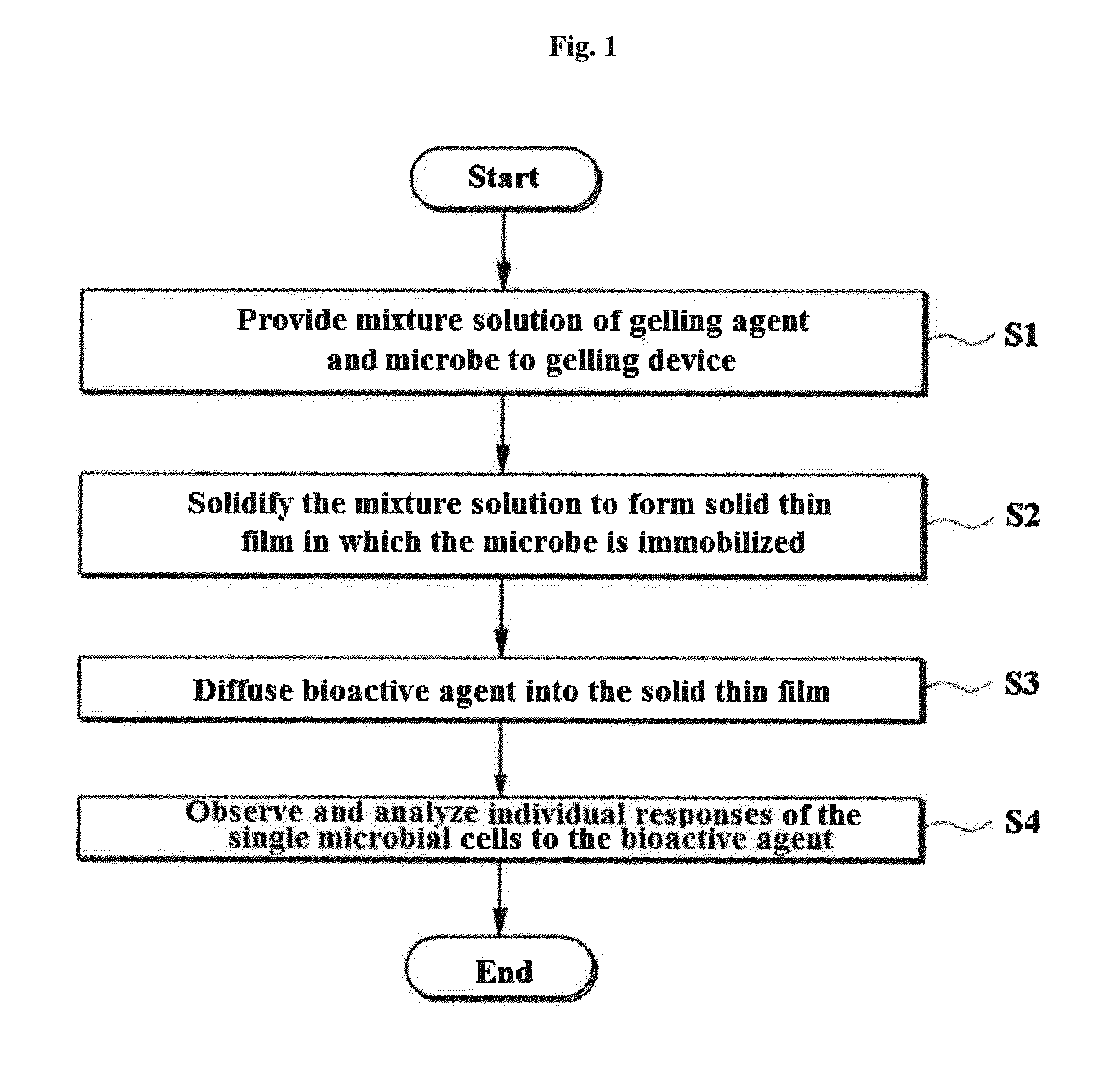 Rapid antibiotic susceptibility testing system based on bacterial immobilization using gelling agent, antibiotic diffusion and tracking of single bacterial cells