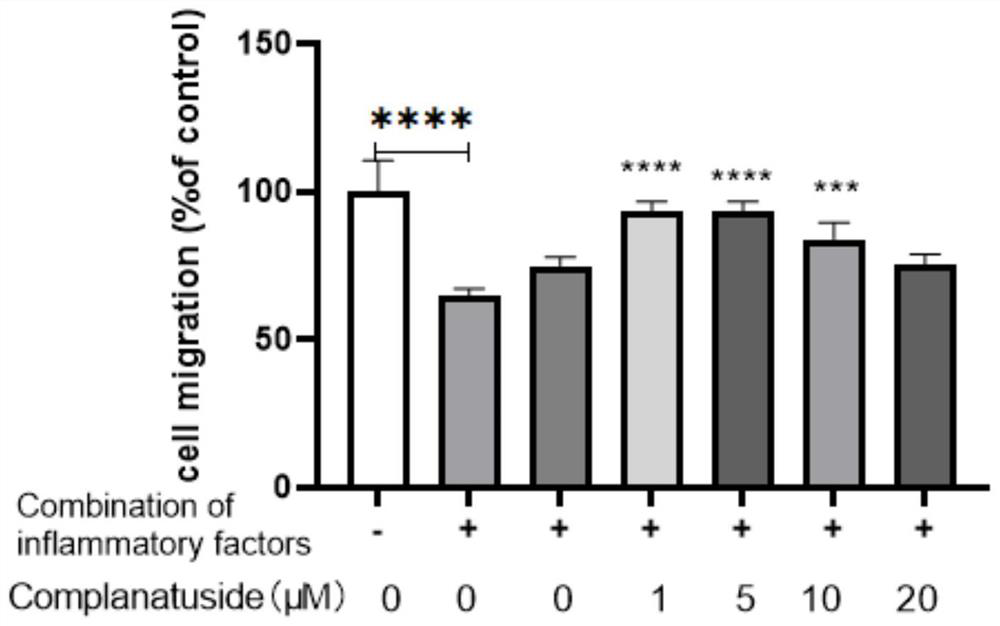 Application of complanatoside in preparation of medicine for treating skin inflammation