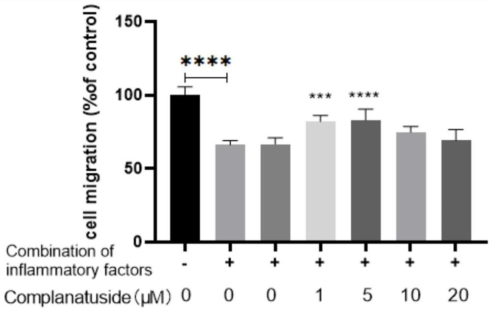 Application of complanatoside in preparation of medicine for treating skin inflammation