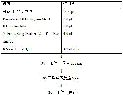 Anti-tumor drug prepared from combination of deoxyadenosine with other nucleosides or bases and preparation method and application thereof