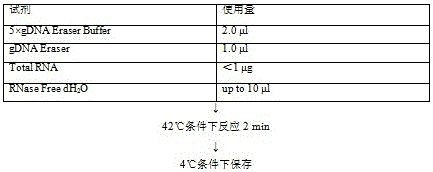 Anti-tumor drug prepared from combination of deoxyadenosine with other nucleosides or bases and preparation method and application thereof