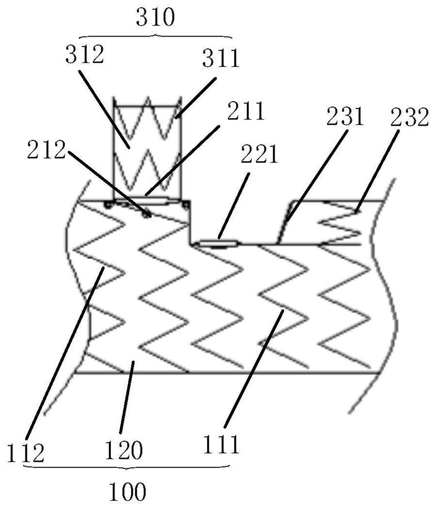 Covered stent