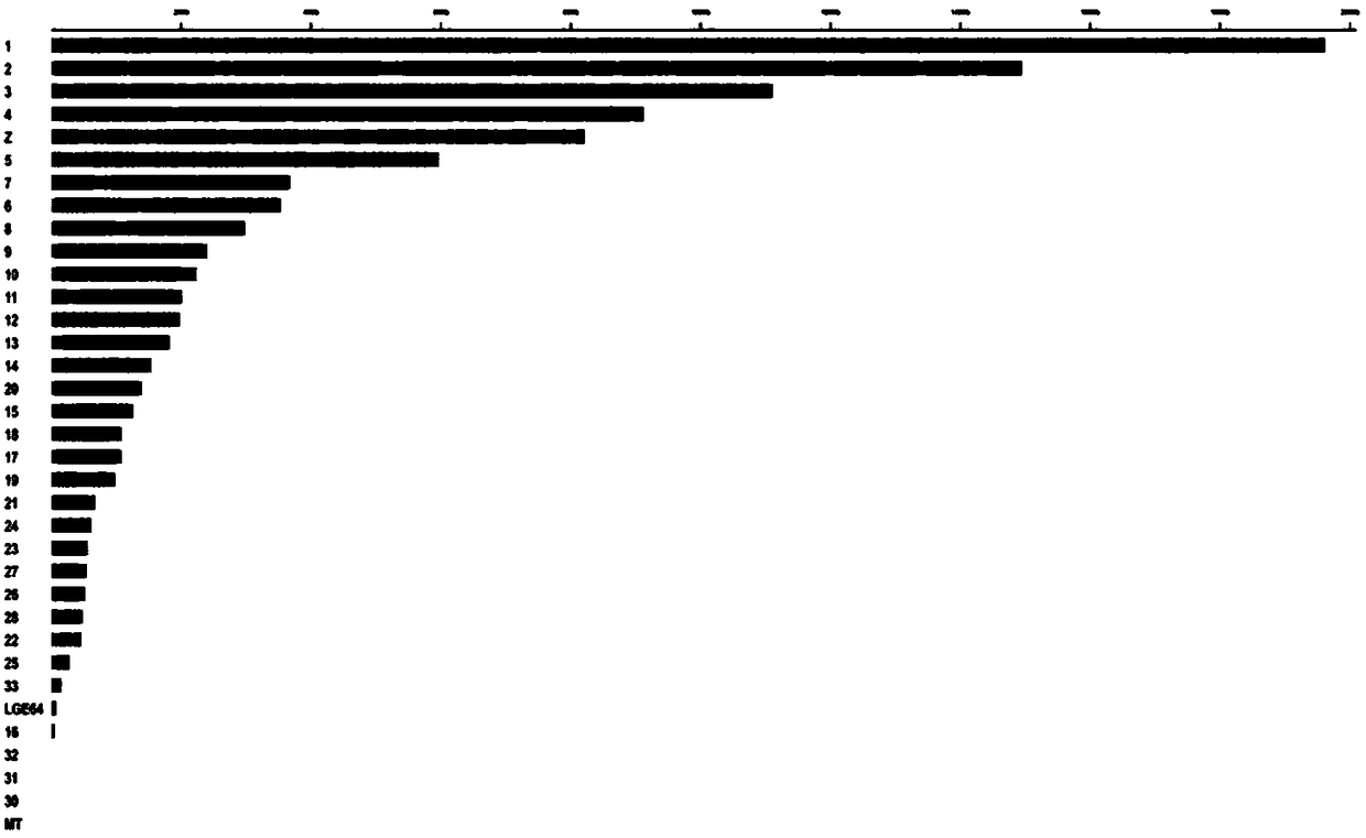 Method for screening SNP molecular markers of Henan chicken fighting genome and an application thereof