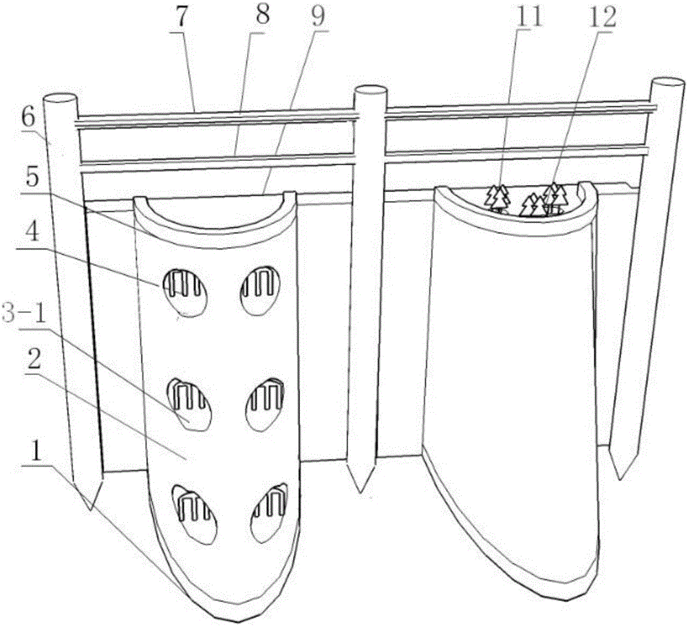 Ecological type assembled shore protection composite structure