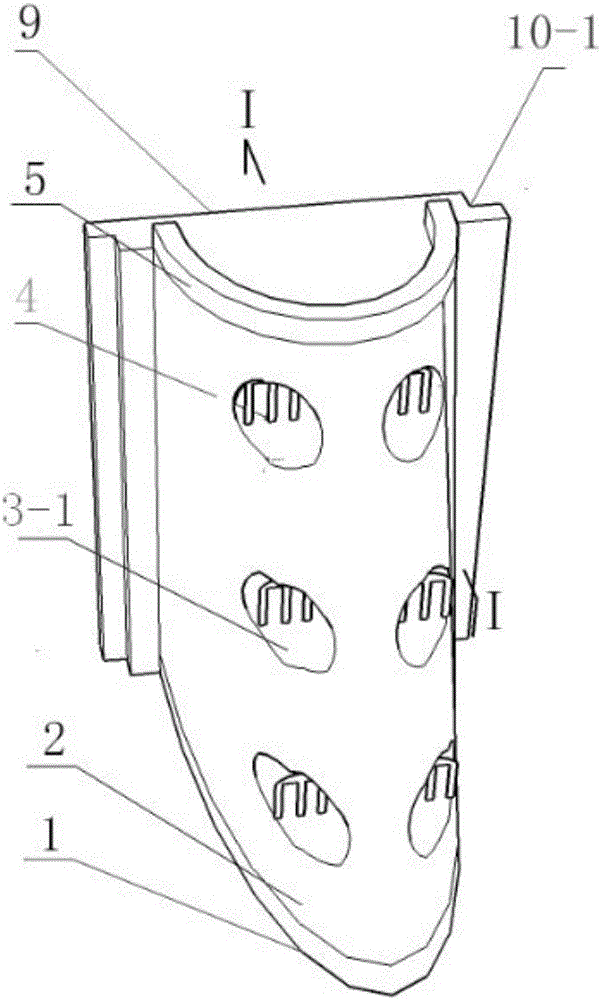 Ecological type assembled shore protection composite structure