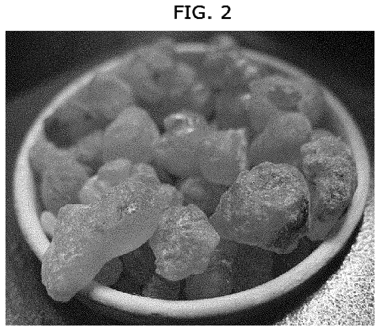 Antimicrobial extracts of Boswellia and thyme