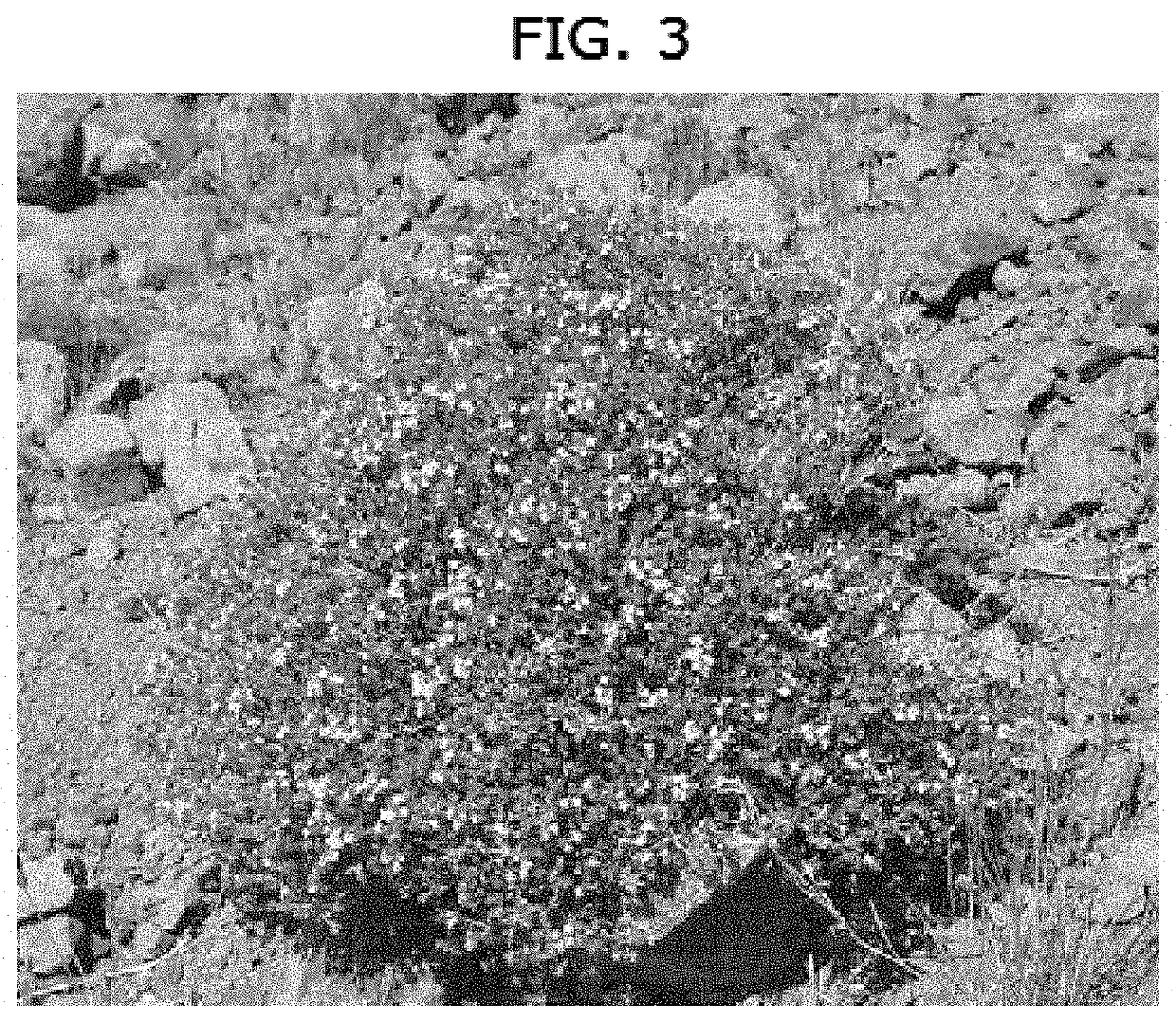 Antimicrobial extracts of Boswellia and thyme