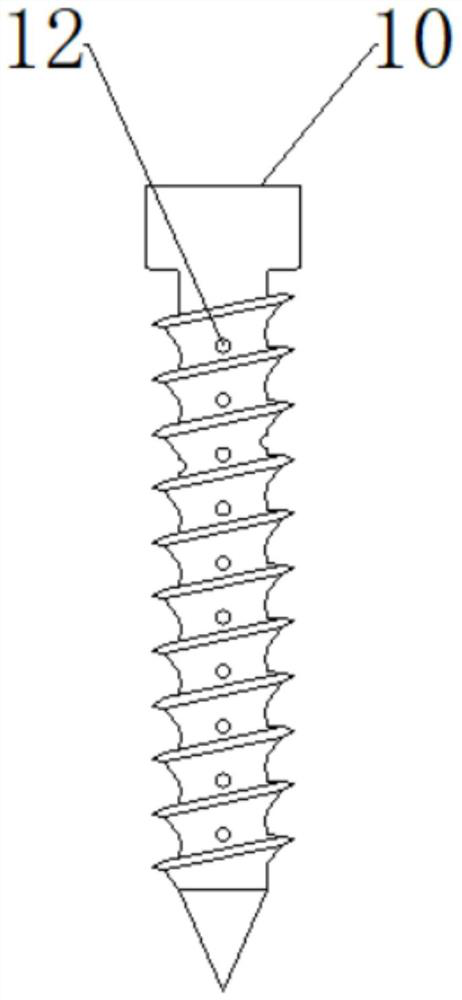 Bone screw with anti-regression and slow-release nutrient solution