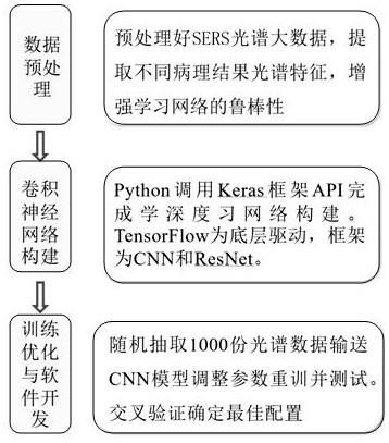 Artificial intelligence assisted prostate tumor early diagnosis method based on surface enhanced Raman spectroscopy