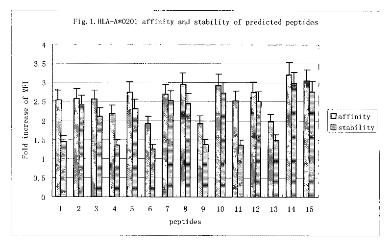 Antigen epitope for exciting protective immunity against tubercle bacillus of human body and uses thereof