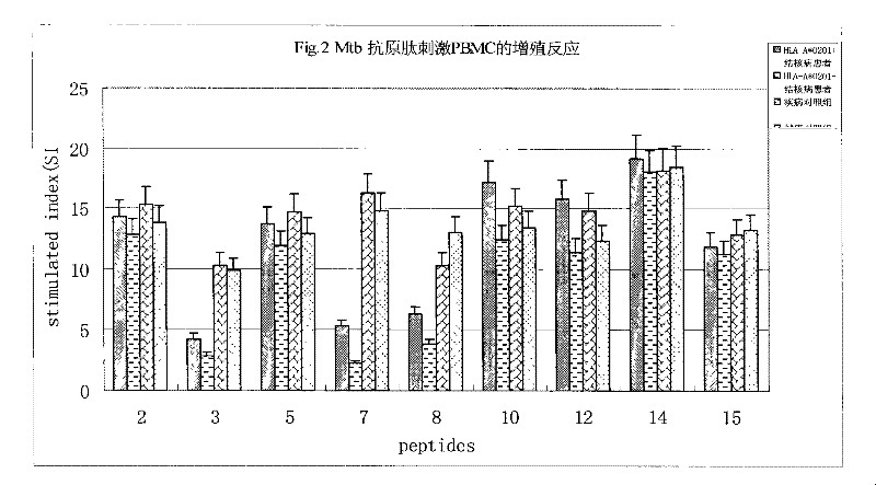 Antigen epitope for exciting protective immunity against tubercle bacillus of human body and uses thereof