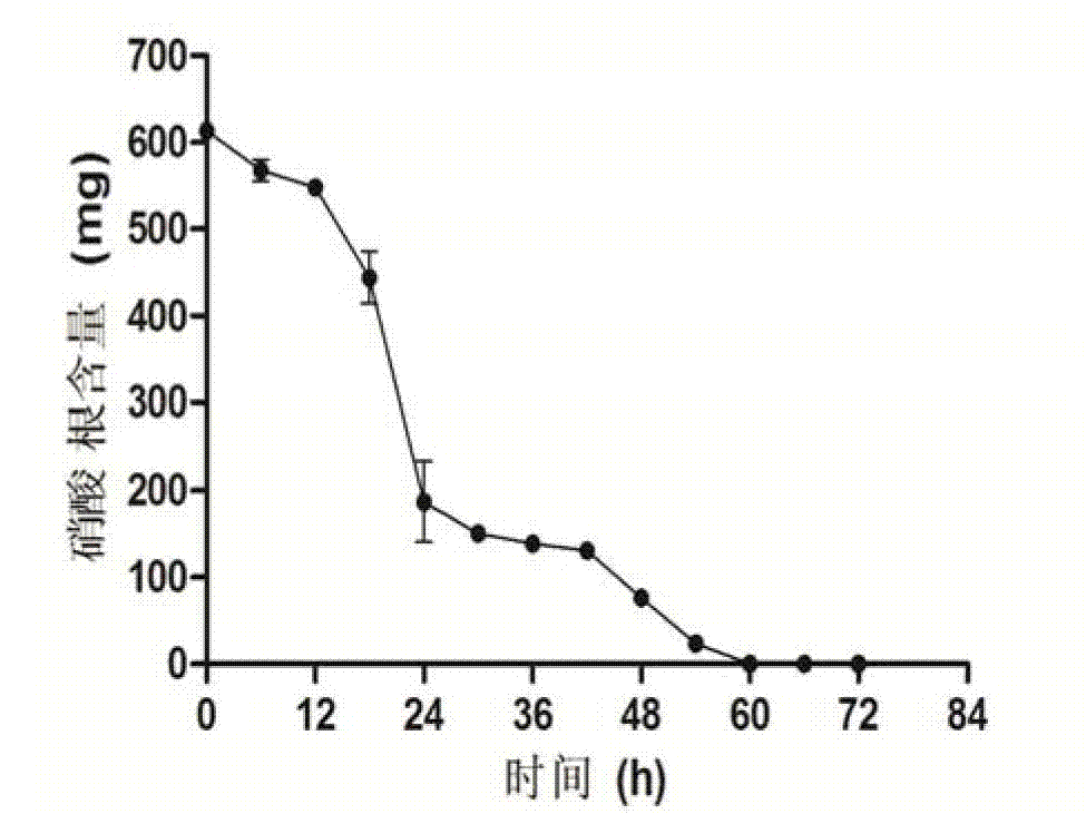 Denitrifying bacteria and aquatic plant-microbe combined rehabilitation method using same