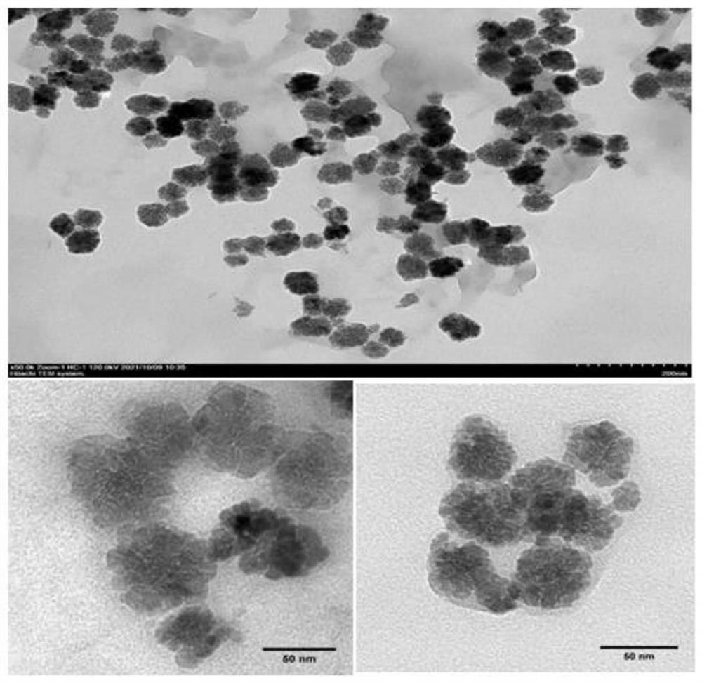 Iron-based nano catalytic treatment reagent and preparation method and application thereof