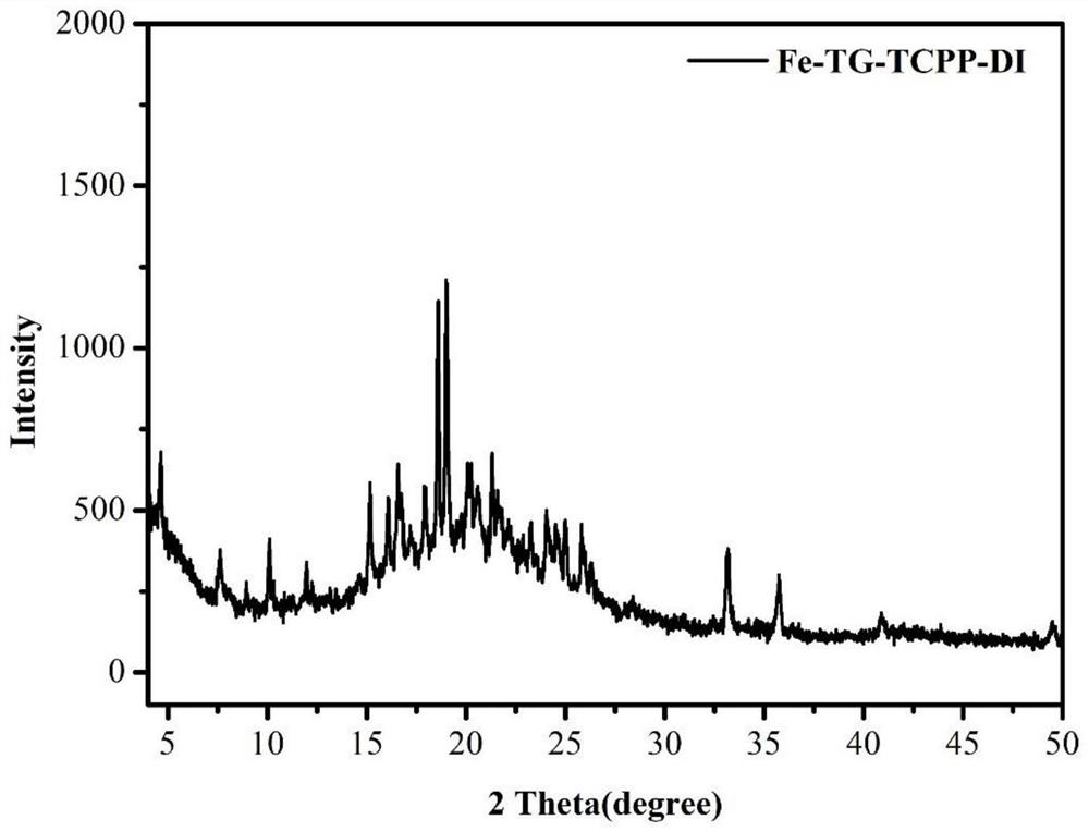 Iron-based nano catalytic treatment reagent and preparation method and application thereof