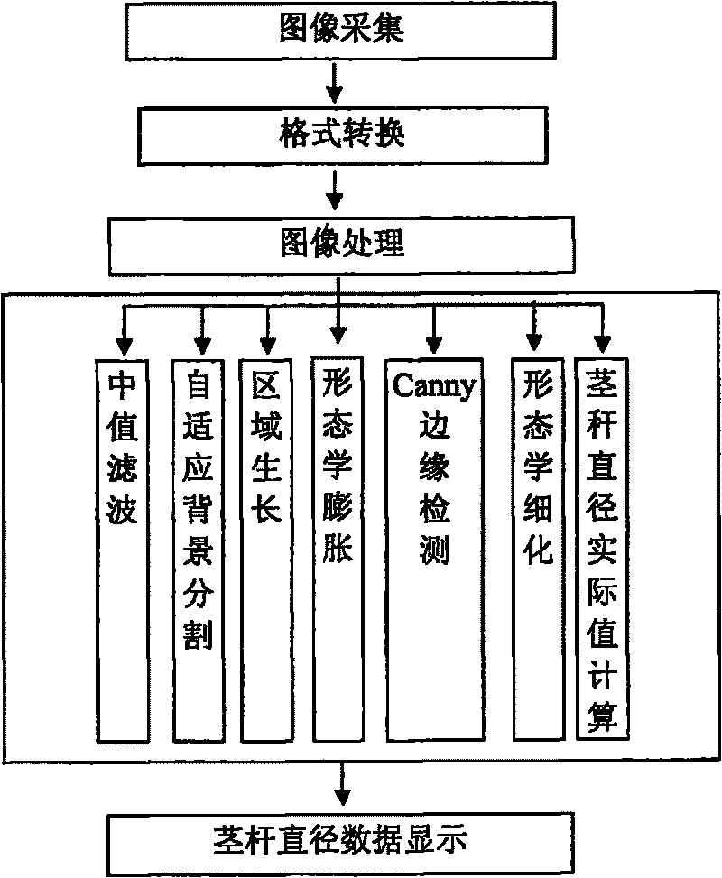 Plant haulm diameter measurement device and measurement method based on machine vision