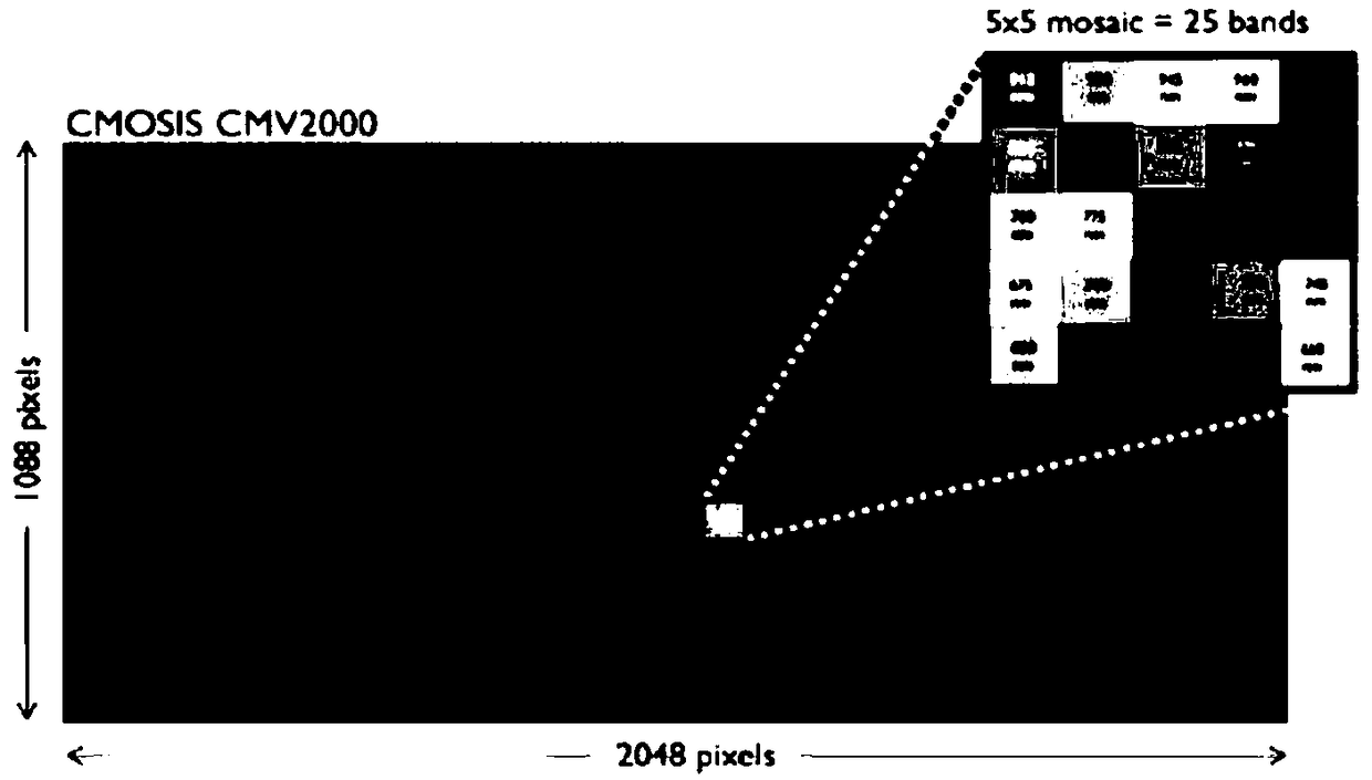 Coated multi-spectral camera-based stereoscopic vision system and calibration ranging method thereof