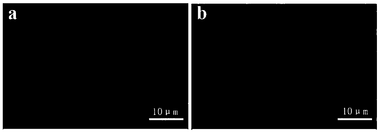 Preparation method of fluorine-containing polyacrylic copolymer antibacterial composite material, obtained product and application thereof