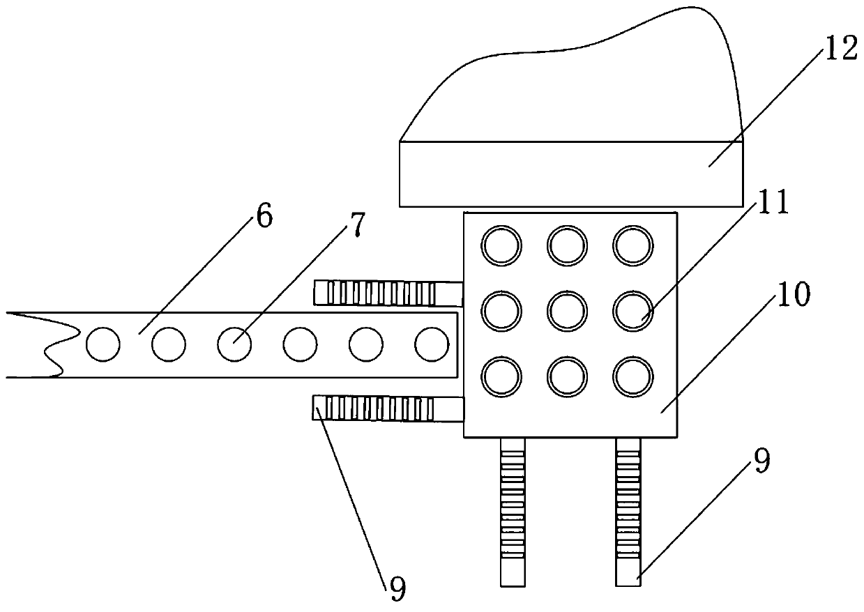 A production device and method for core-injecting cone chestnut cake