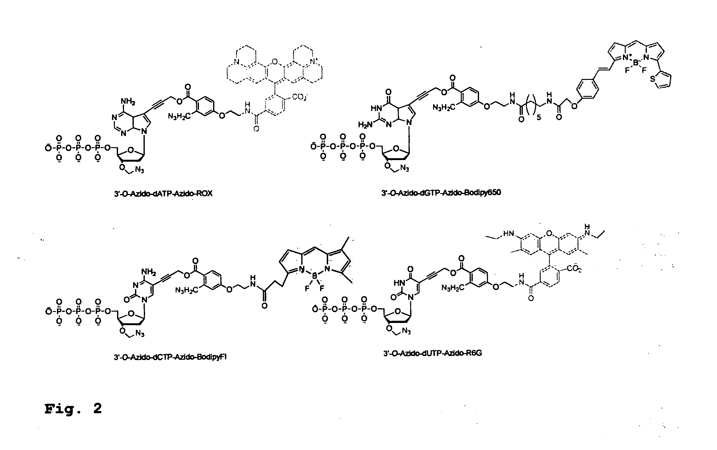 Design and synthesis of cleavable fluorescent nucleotides as reversible terminators for DNA sequencing by synthesis