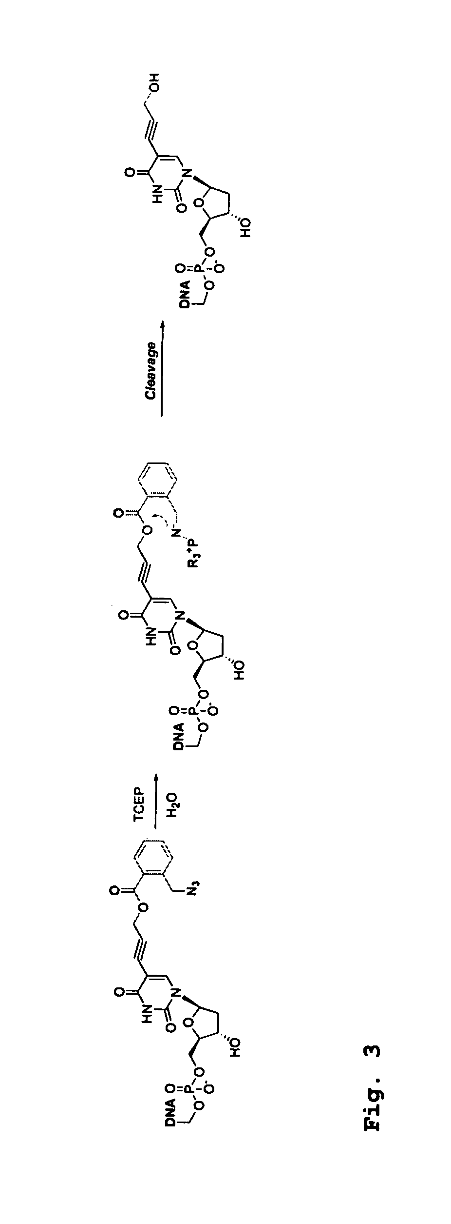 Design and synthesis of cleavable fluorescent nucleotides as reversible terminators for DNA sequencing by synthesis