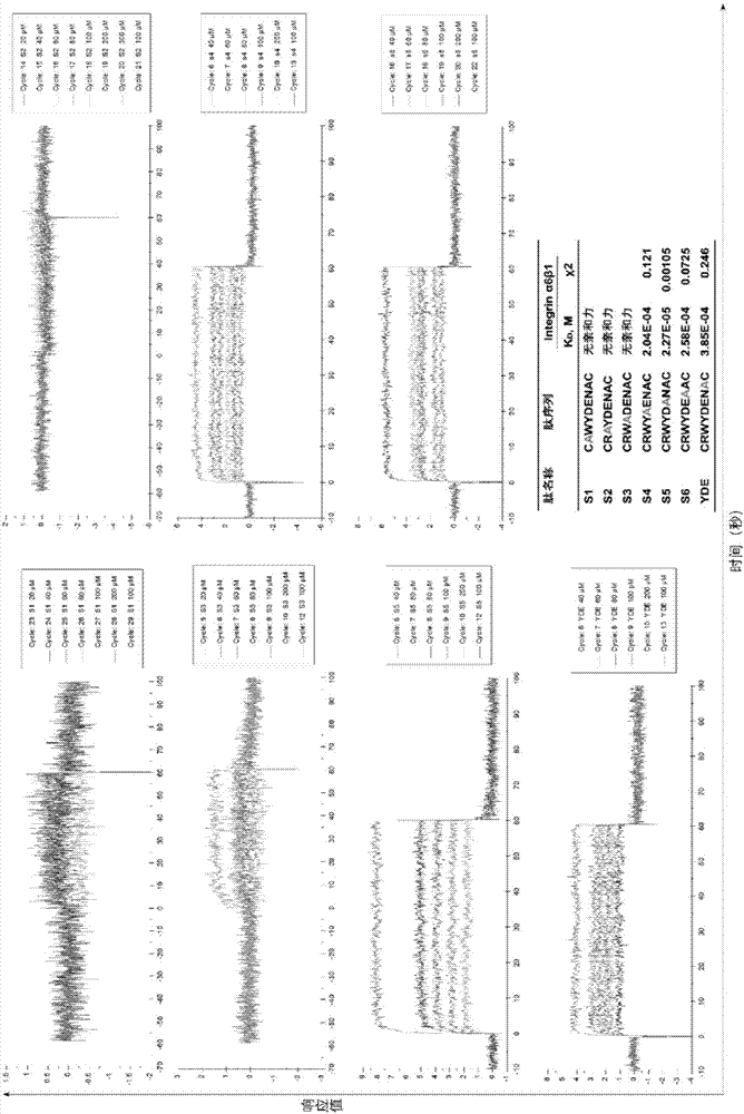 Integrin alpha 6 target polypeptide and application