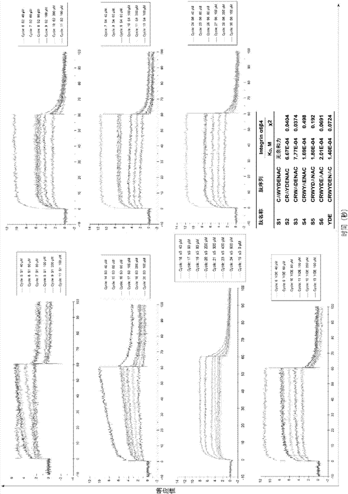 Integrin alpha 6 target polypeptide and application