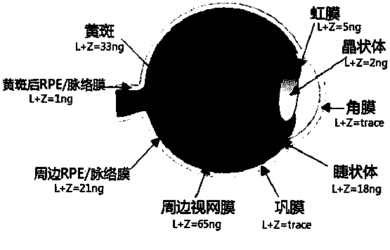 Compound preparation containing lutein ester and preparation method thereof