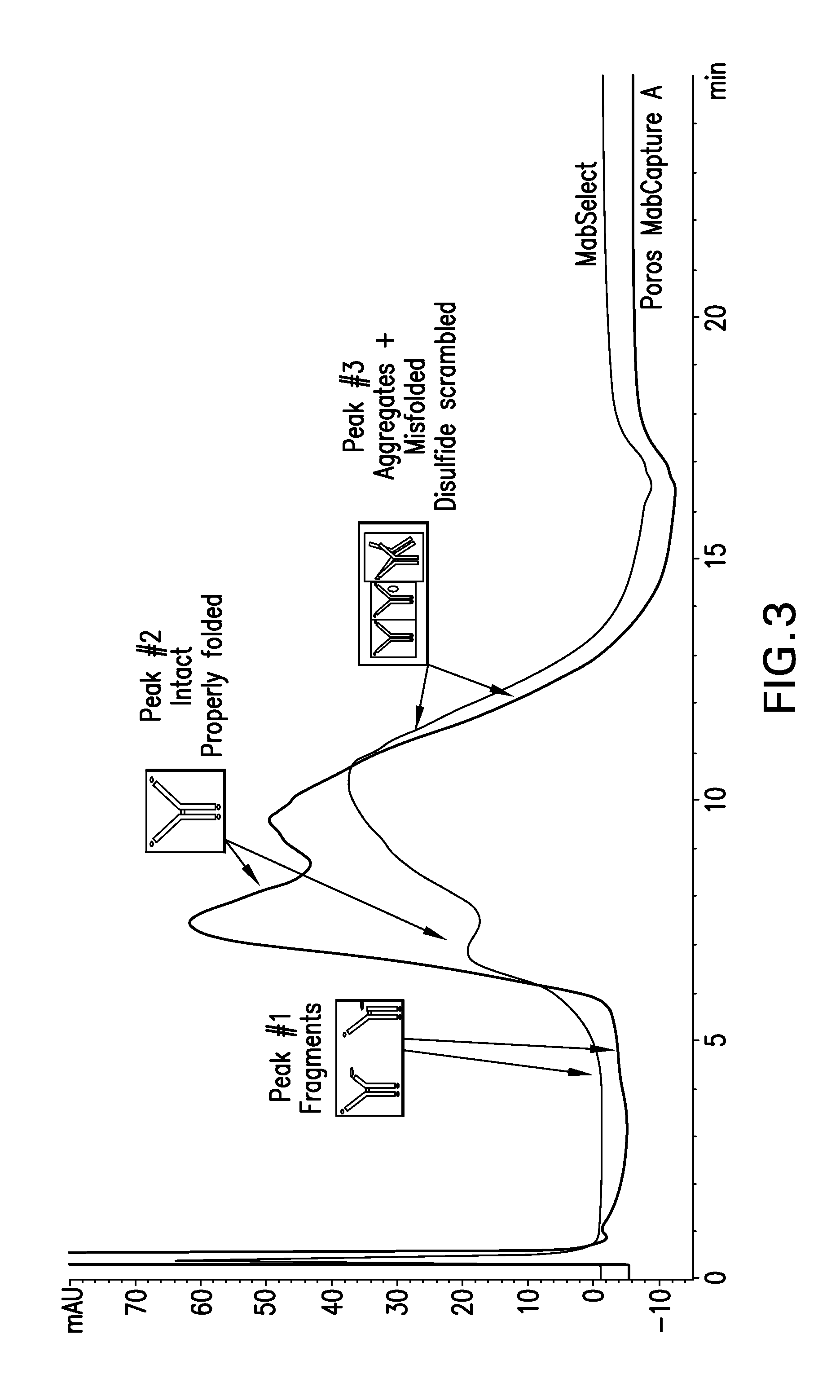 Purification of fusion proteins