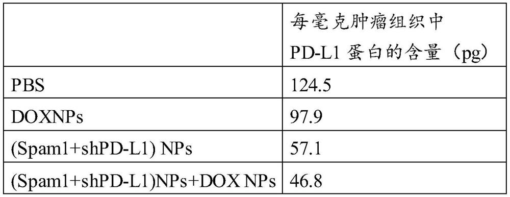 Pharmaceutical composition, and preparation method and application thereof