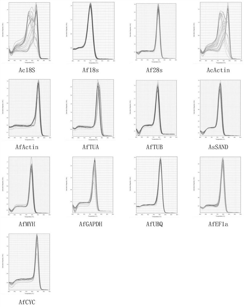 Chive internal reference gene and its screening method and application