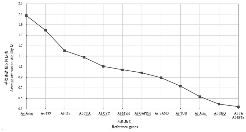 Chive internal reference gene and its screening method and application