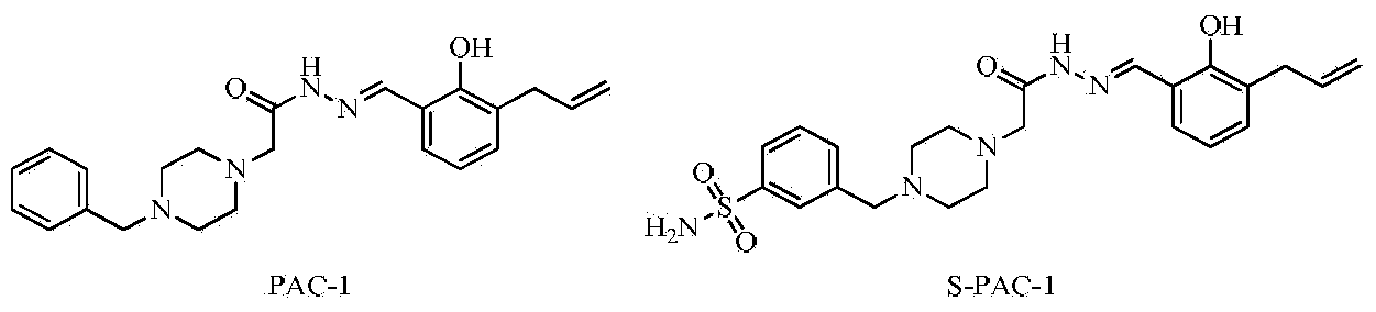 Semicarbazone derivatives and application thereof