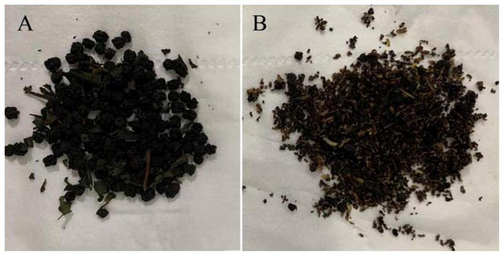 Method for biologically converting silkworm excrement waste by utilizing fly maggots, and application of product of method