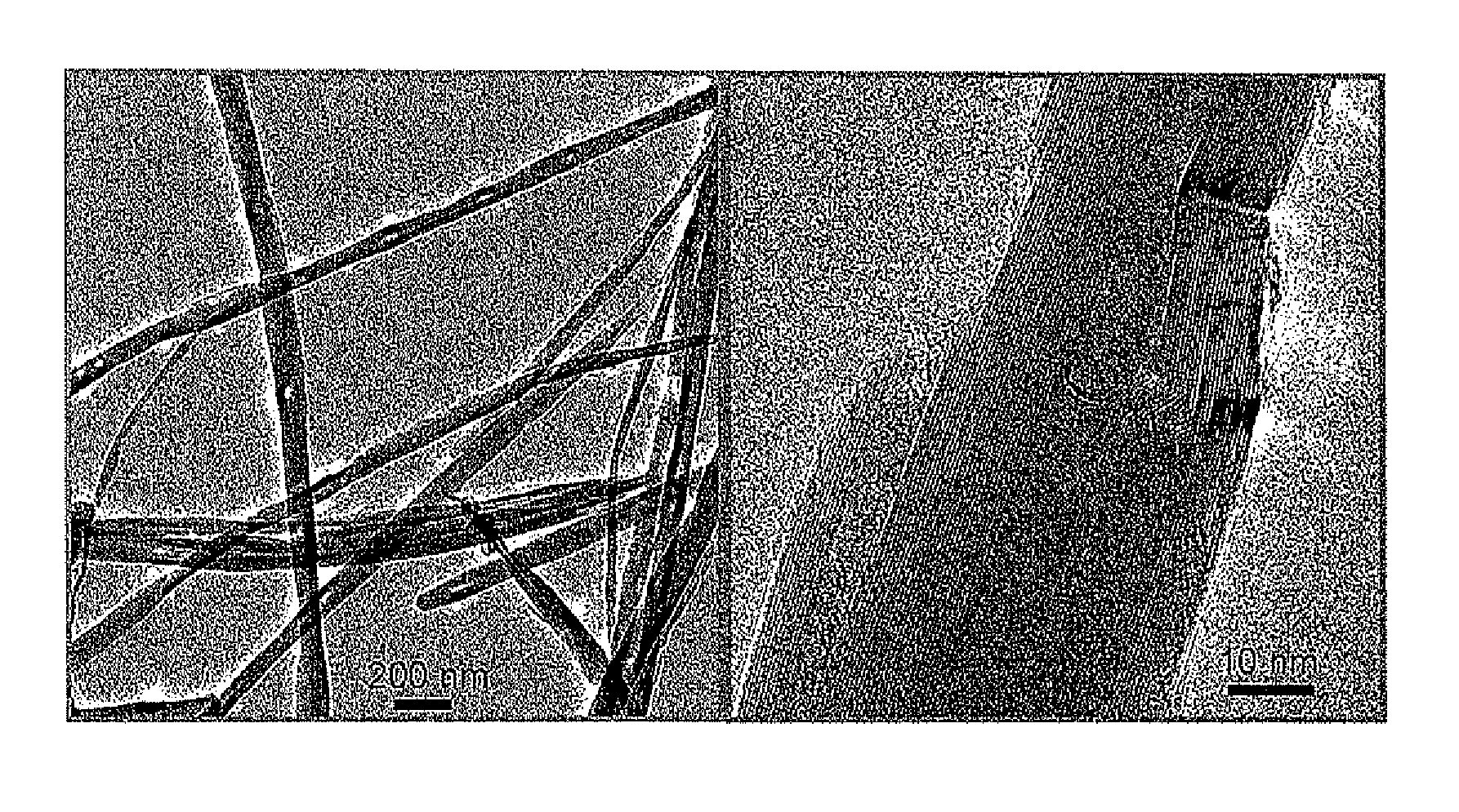 Carbon nanofiber, method for production thereof, method for production of carbon fiber composite material using carbon nanofiber, and carbon fiber composite material