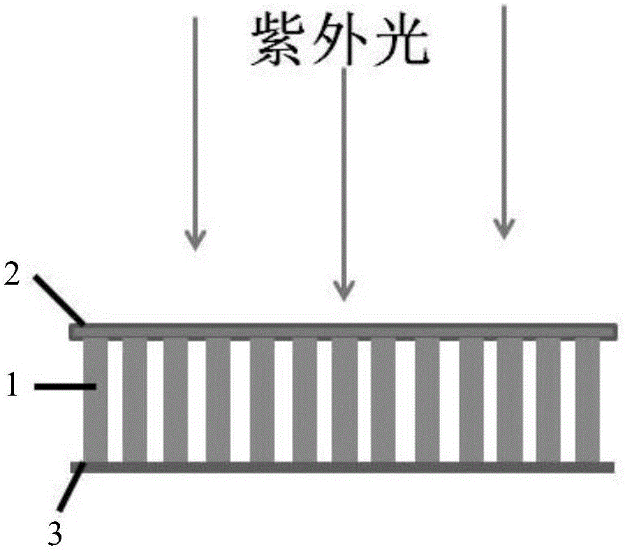 Ultraviolet detector