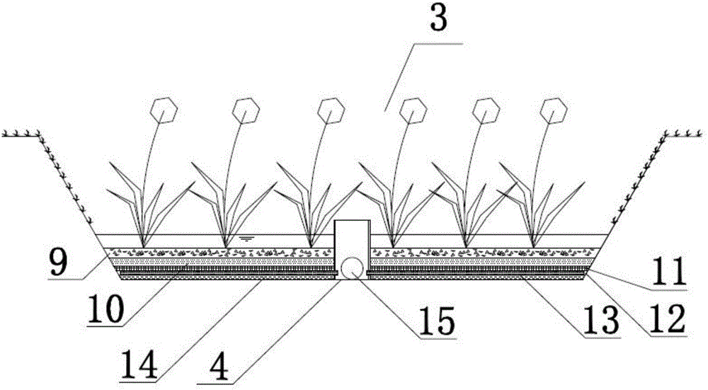 Step type low elevation greenbelt for purifying surface rainfall runoff